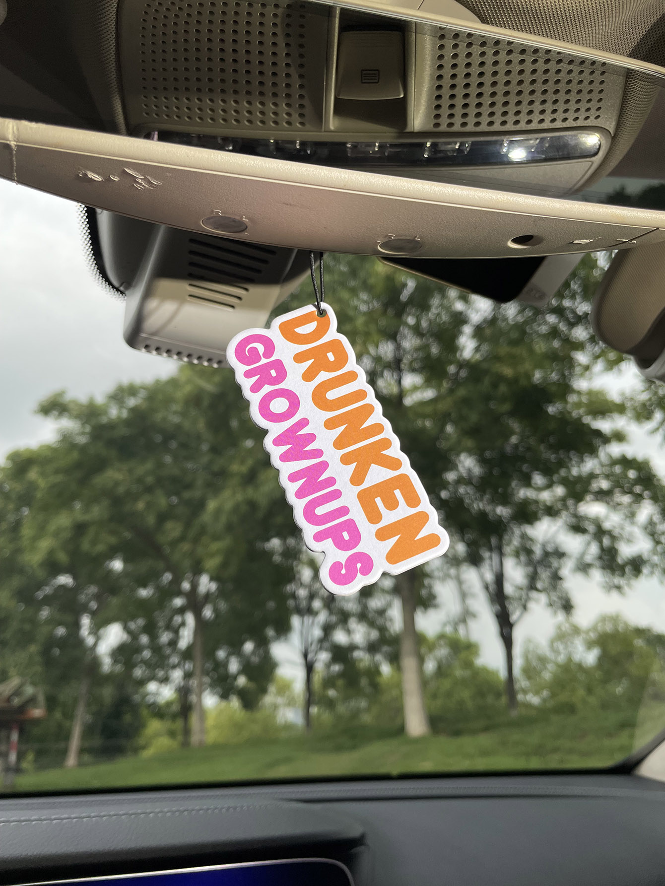 Profumo per Auto Drunken Grown - Bathroom Home Essentials Store recensione e prezzo